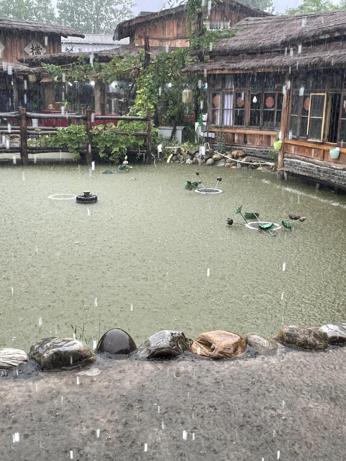 我的今日状态：😎自信酷炫
我这里的天气：🌧下雨