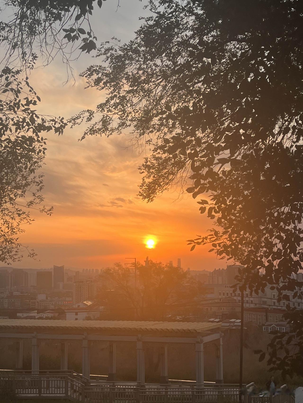 寂静的夜晚
一盏街灯照亮小屋
暖光如诗倾洒心头
留下无尽的温柔
一切都放慢了脚步