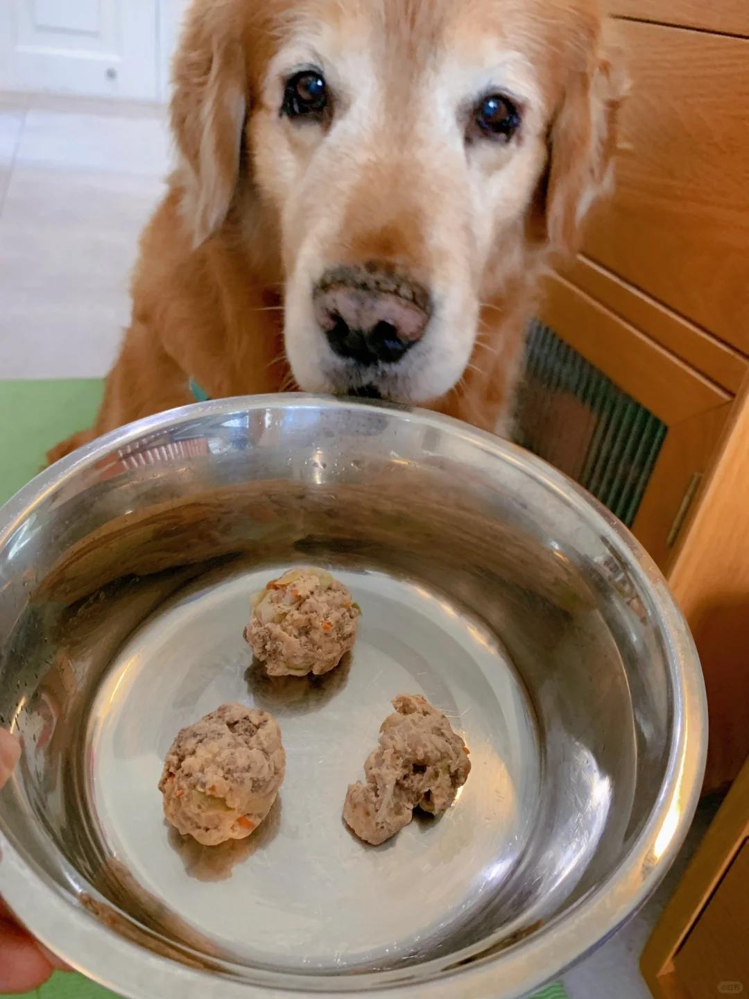 给犬子做点肉丸几吃😛