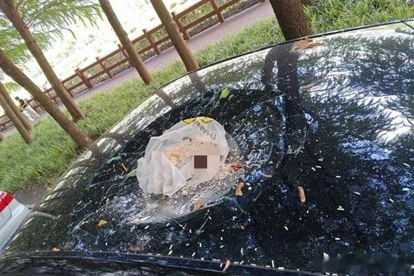 胖哥汽车频道男子因与妻子争吵高空抛垃圾砸坏车 男子与妻子争吵后从17楼抛下整袋垃