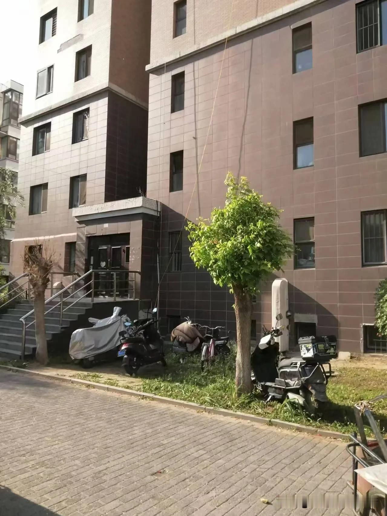 沈阳某小区管理混乱，电瓶车乱停乱放，随便拉电线，无人管。