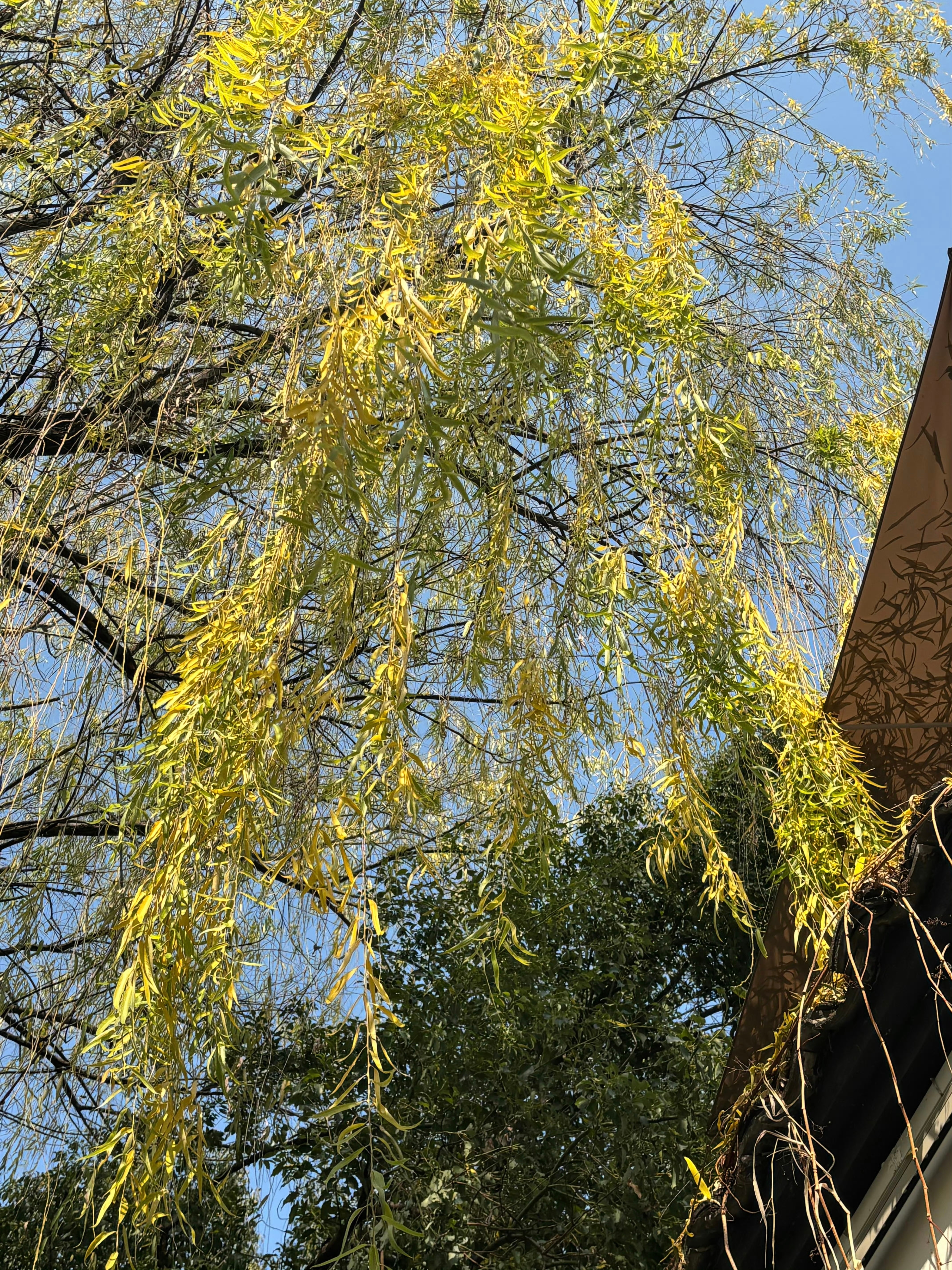 出轨真正毁掉一段关系的，从来不是那一次越界，而是后面没被处理好的“后遗症”我见过