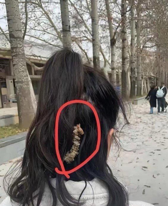 这什么玩意吓我一跳