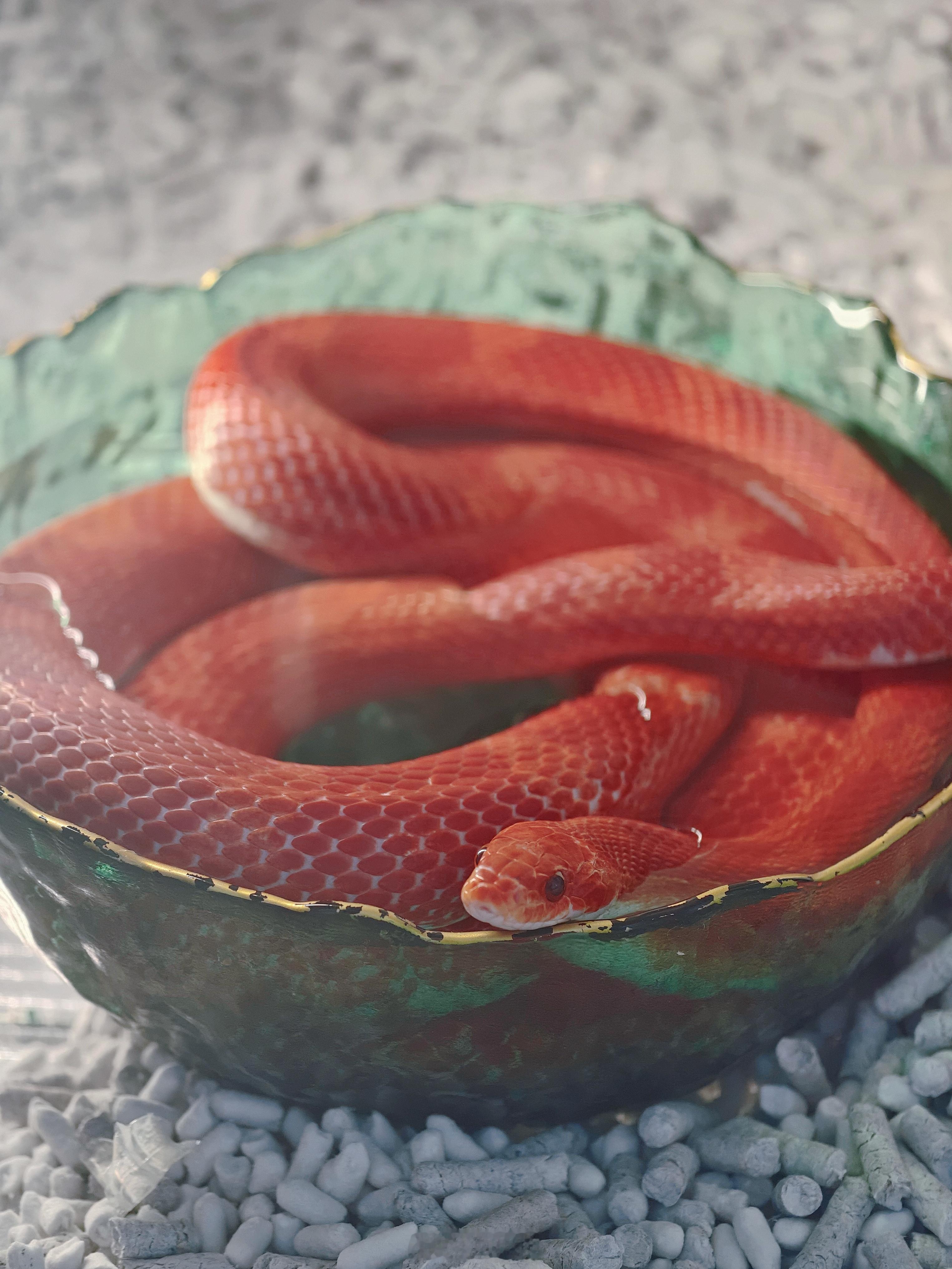 夏天爱泡澡的小宝们恐🐍不要打开大图 