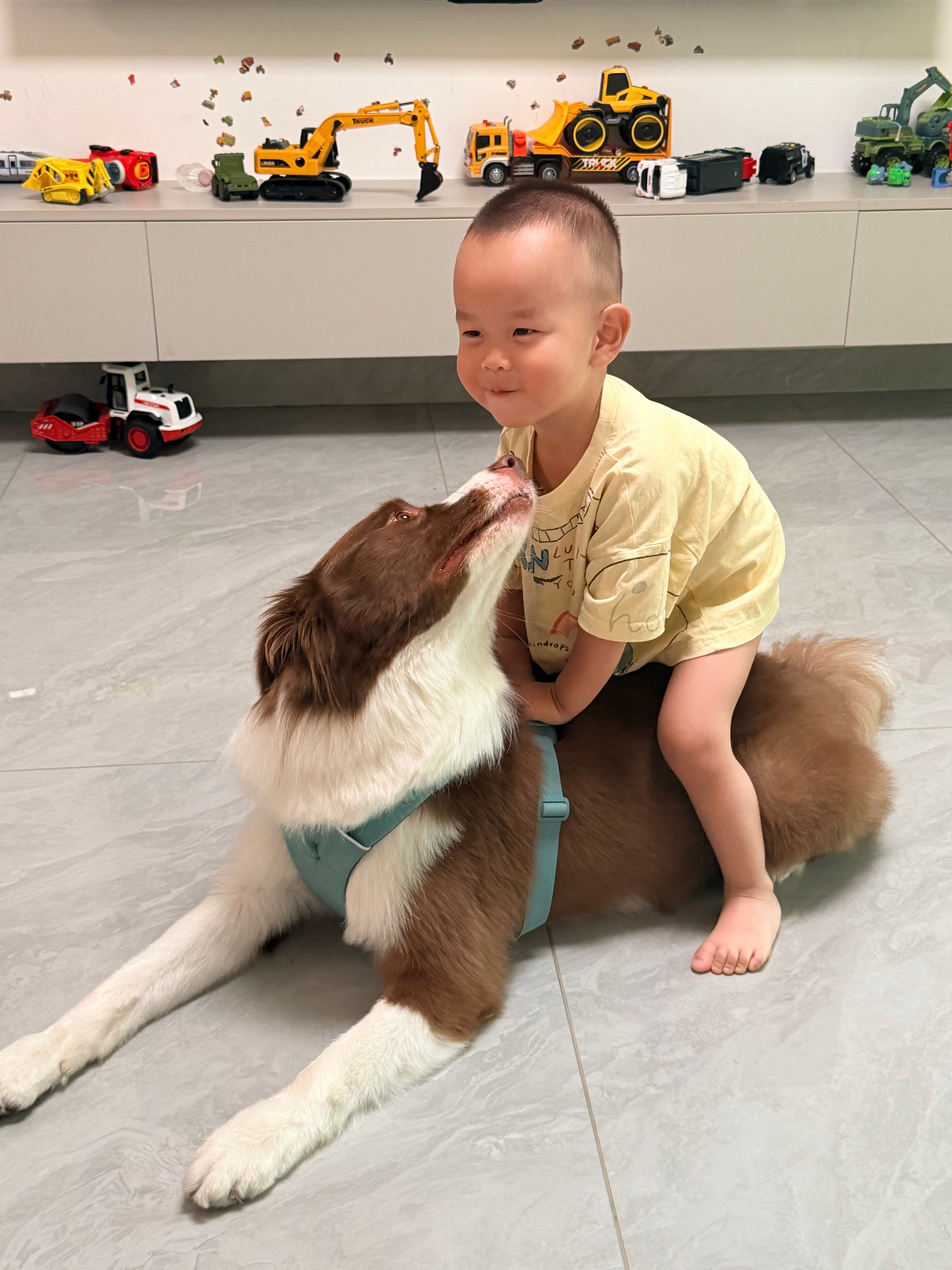 好宝宝x2 