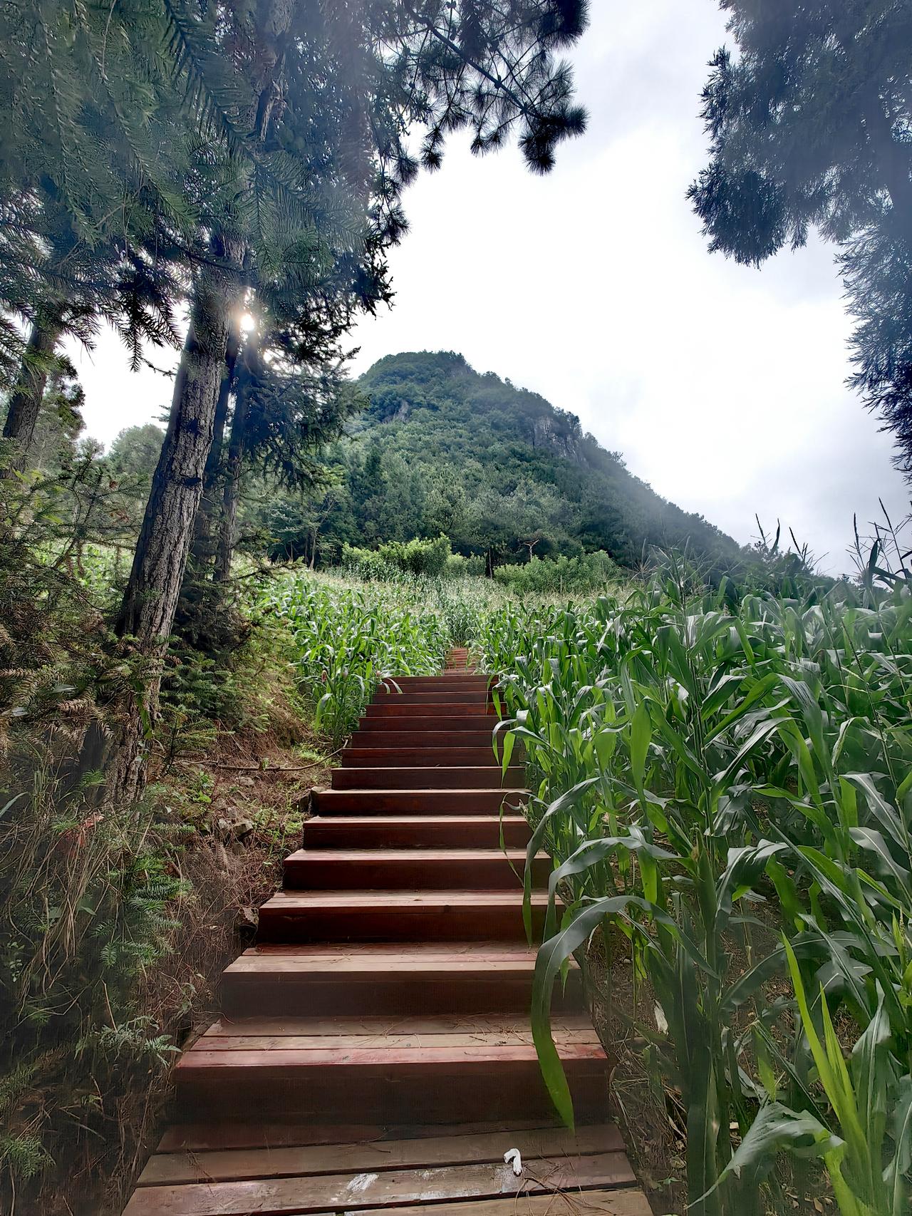 打新只差1万未中你会后悔吗只能说自已经验不足，过于自信，太轻敌了。后悔没有用，就