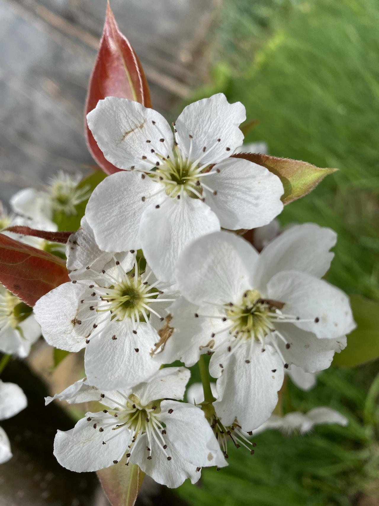 父母给孩子的最大底气，从不是外在的光环，而是刻进骨子里的力量。

一、教他“不怕