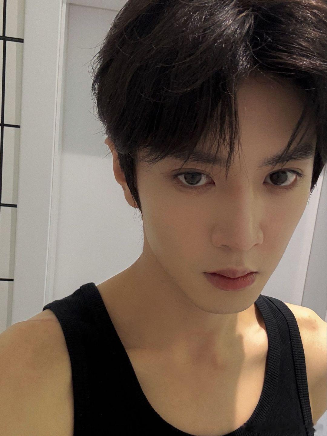 追星遇到陈哲远真的无憾了吧 陈哲远488332.35元红包 追星遇到陈哲远真的无