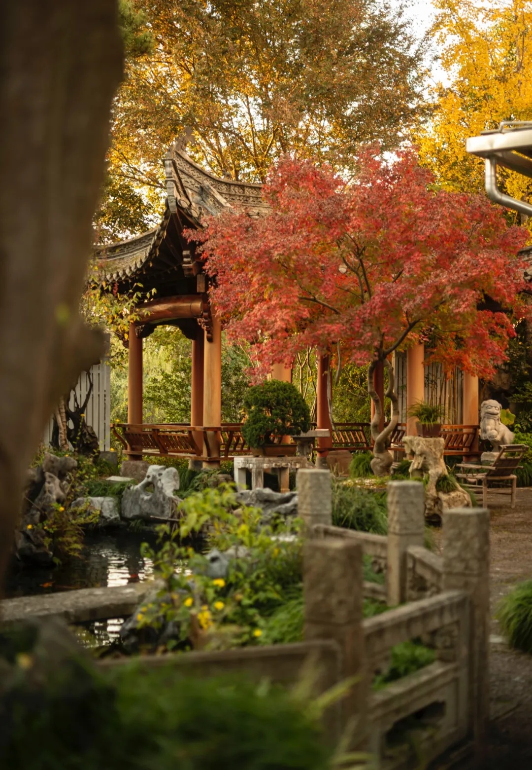 晴光之日，修院中草，剪墙垣枝，待花叶丽景；风雨之夕，读一本书，赏几幅画，听夜雨涨