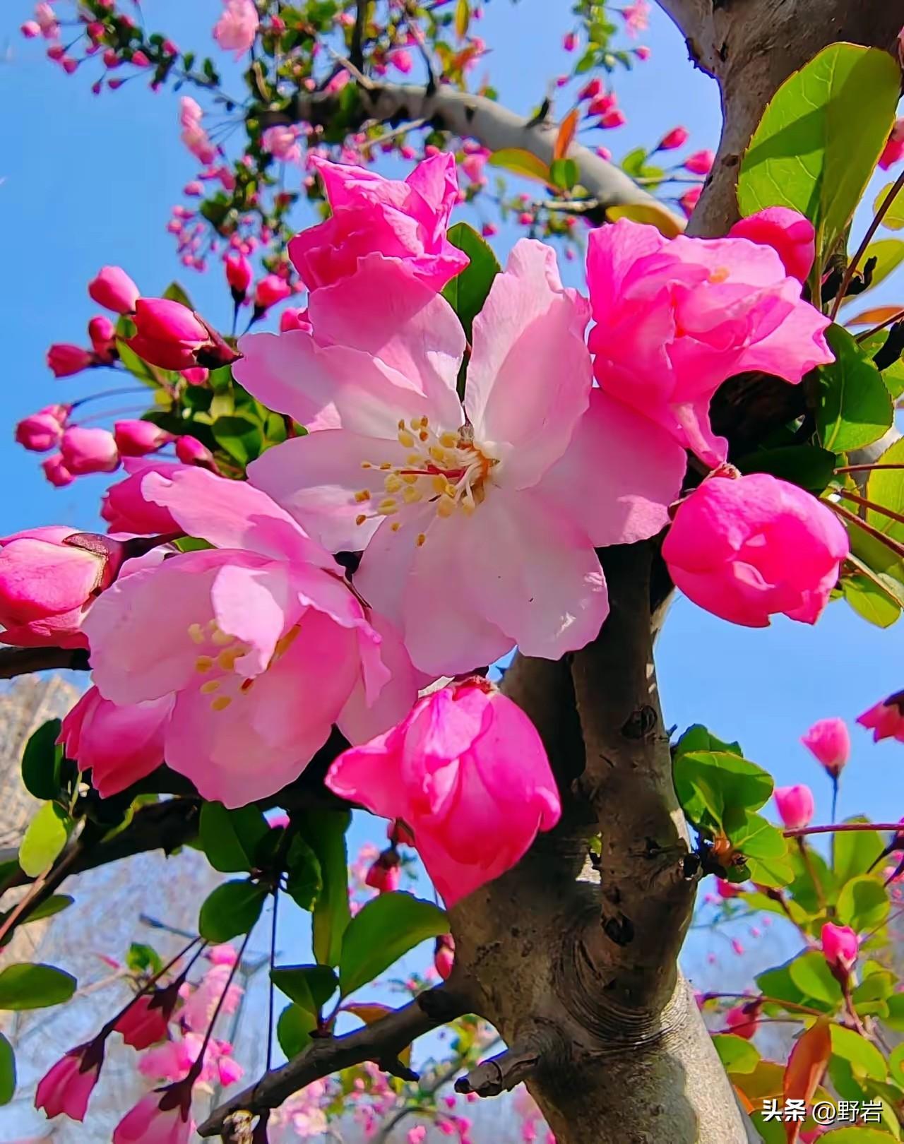 真正毁掉一个人的，从来不是贫穷，而是内耗

一、贫穷是外伤，内耗是绝症
 
- 