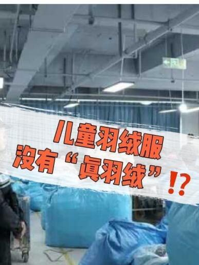 九江对伪劣羽绒服企业立案查处 7万余件儿童羽绒服里竟没有“真羽绒”?||羽绒服里