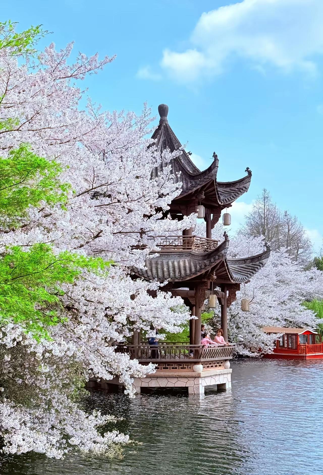 分享一组花花美照…可惜都不是我本人拍的，只是见了好看的就忍不住收藏起来，分享给大