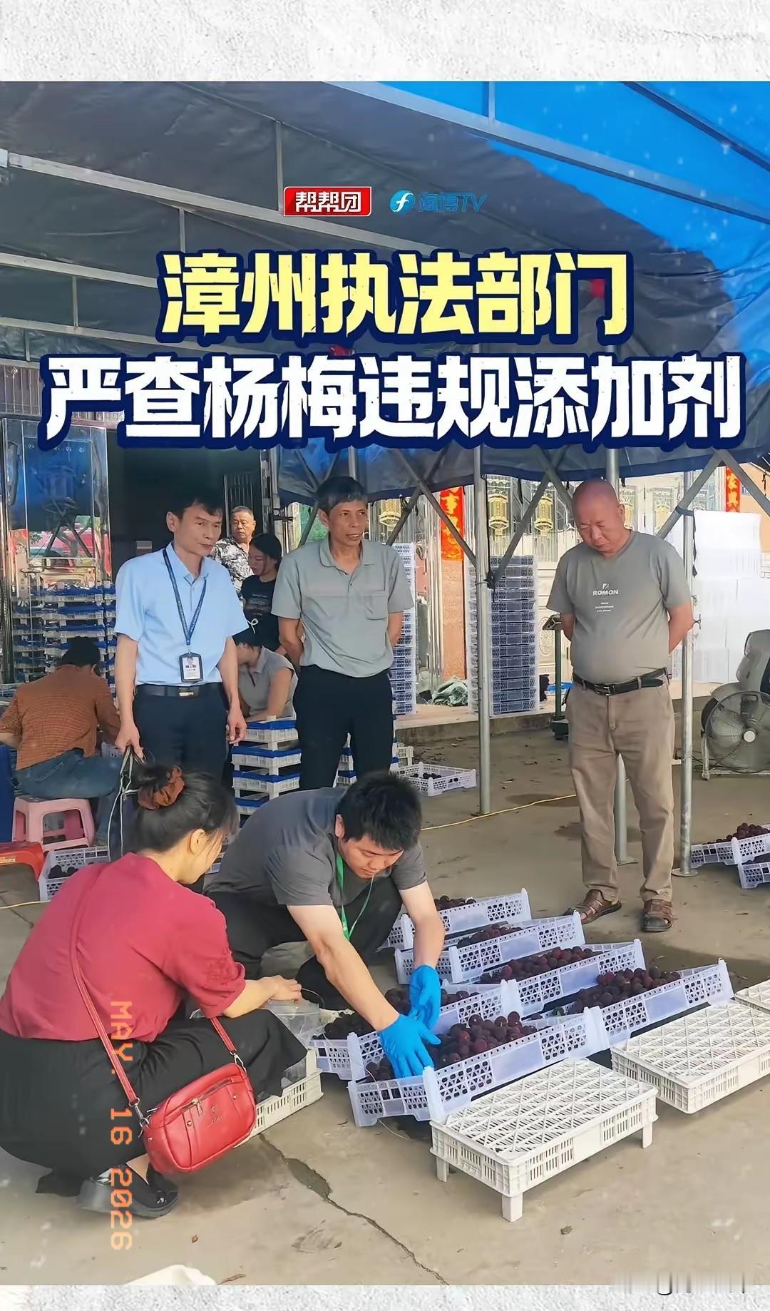 太恶心了！漳州，多个杨梅收购点被曝用8000倍甜度三无甜味剂浸泡杨梅，单家收购点