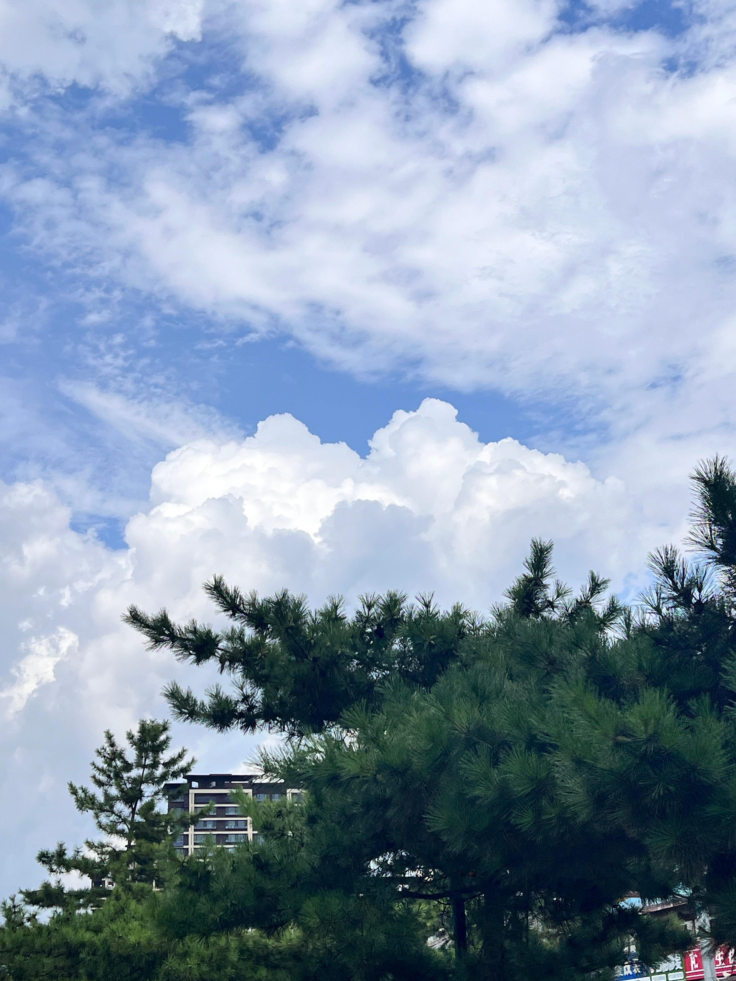 蜡笔小新回家的时候总是这样彩色的云吧☁️脑子里的bgm都冒出来了🎵 