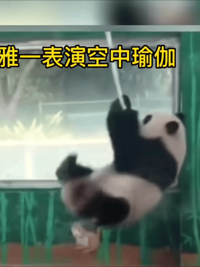 世界杯决赛 西班牙vs阿根廷起来嗨！虽然醒了，但不知道能不能撑住