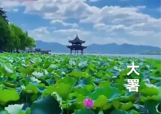 七律·大署

六月人间暑热天，炎浓伏重雨相煎。
西瓜最是舒心物，阳伞随行蔽日缘。