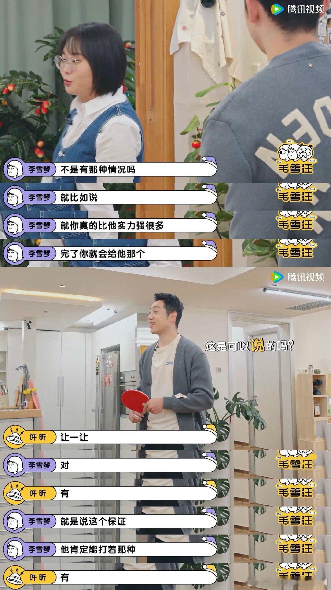 #许昕凡尔赛##毛雪汪#  《毛雪汪》这一期的节目也太有意思了吧，没有想到能够看