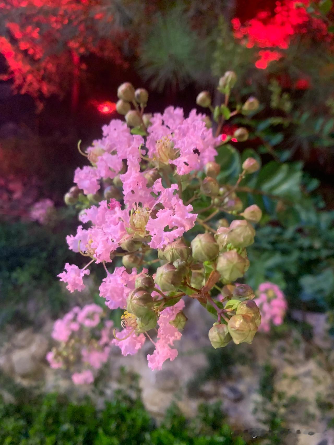 在现今的大环境下，大家都在为努力活着加油，还是放宽心胸，别给差评了[大笑]