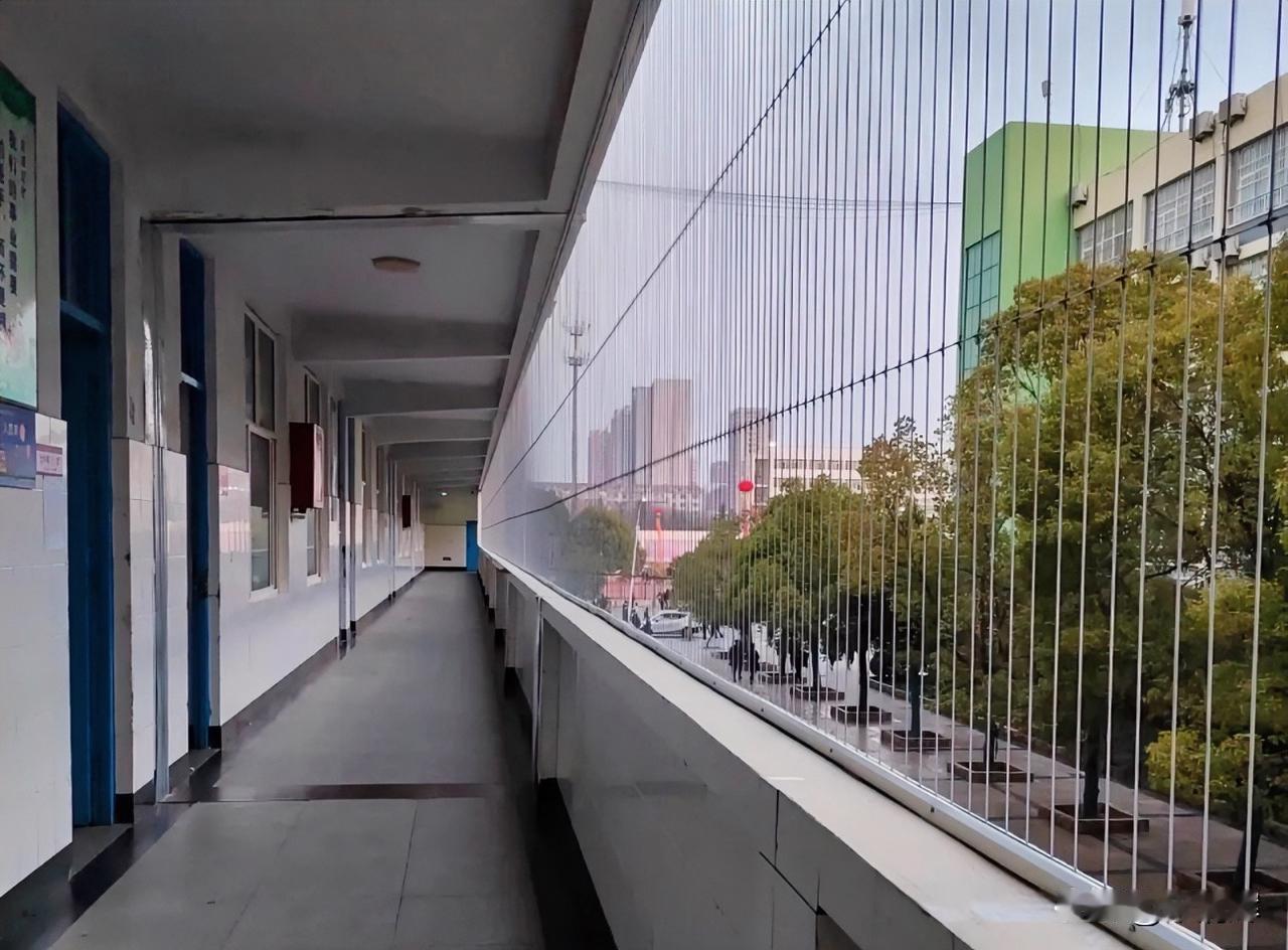 这是一场闹剧！真正的人才都不是学校教出来的，学校也培养不出来绝对优秀的人才。因为