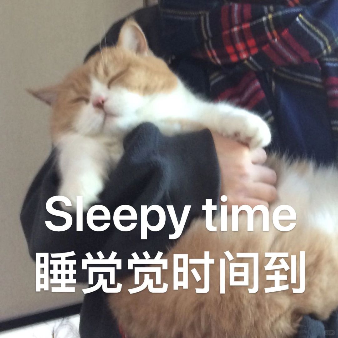 耶 周末惹