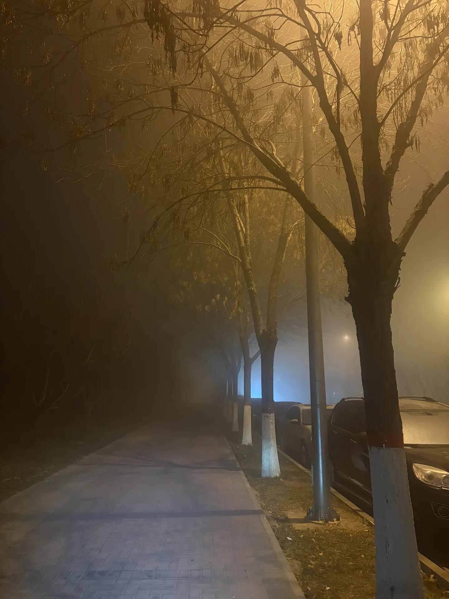 随手拍不必告诉别人，你有多难过，有多天真，多善良，多幸运，多无奈，学会用全新安静