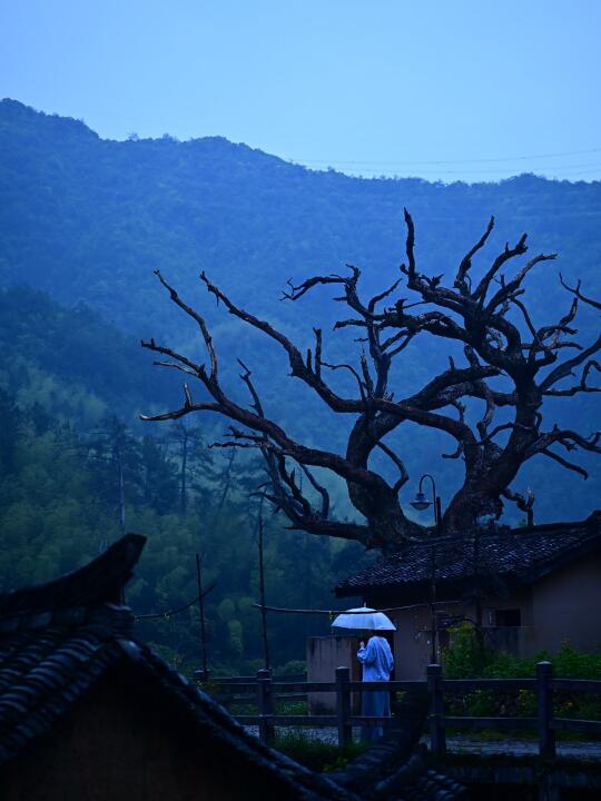 夏日的后畲村是一场电影风的梦｜衢州周边