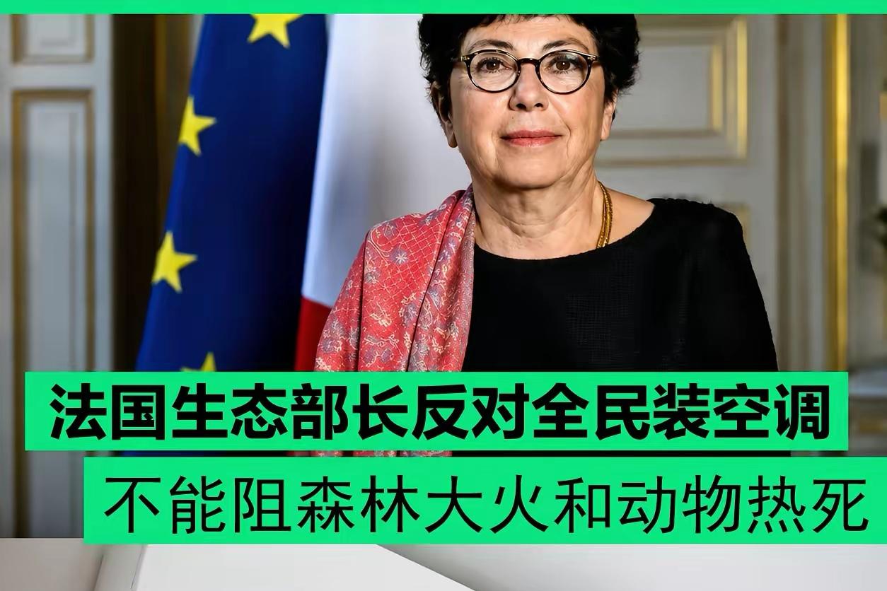 我们国内公知说的话。现在西方的政客也在讲。
法国的生态部长慕尼克正在40度高温的