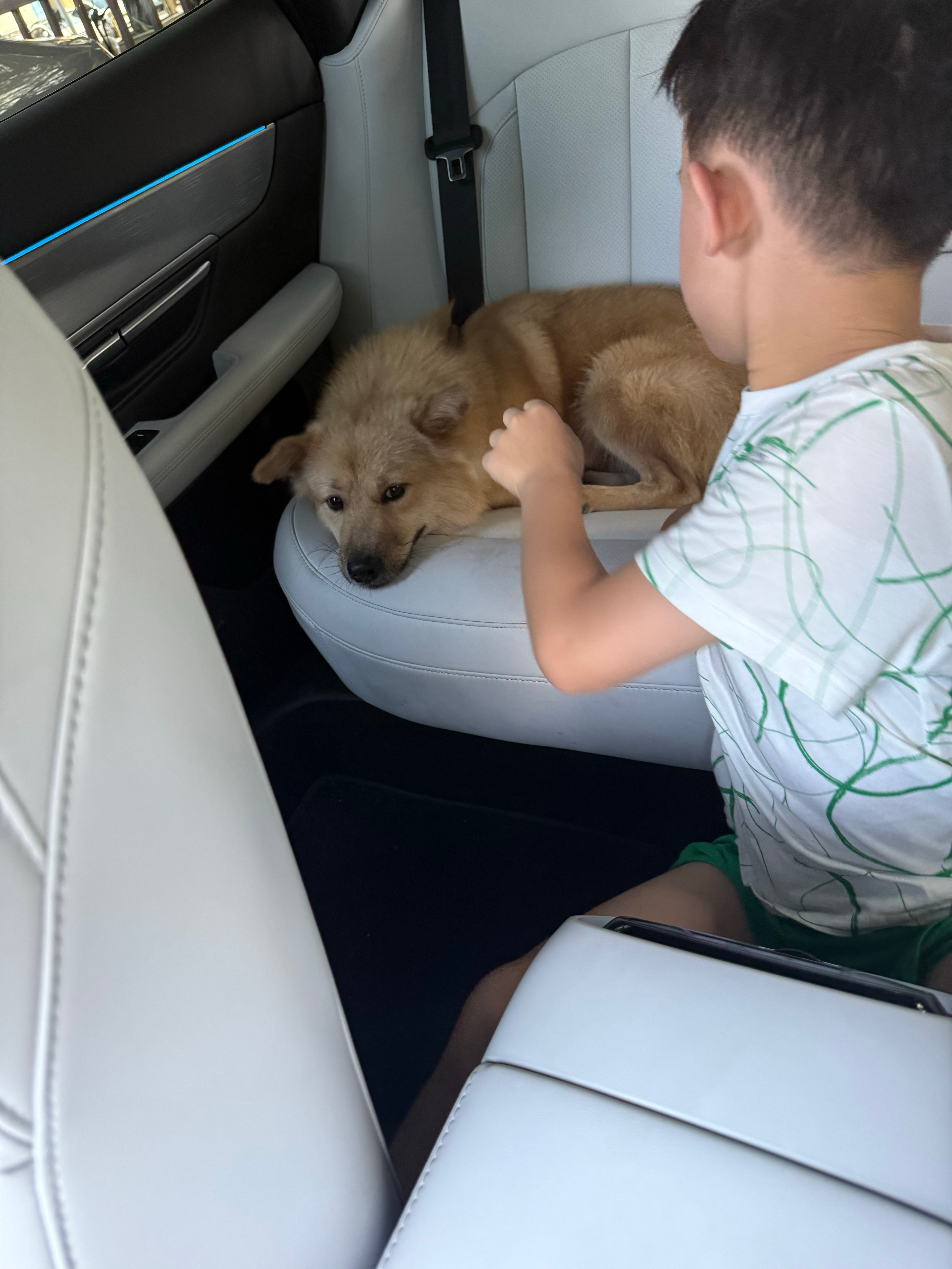 萌宠[超话]  谁带娃，谁崩溃[doge][doge][doge] ​​​