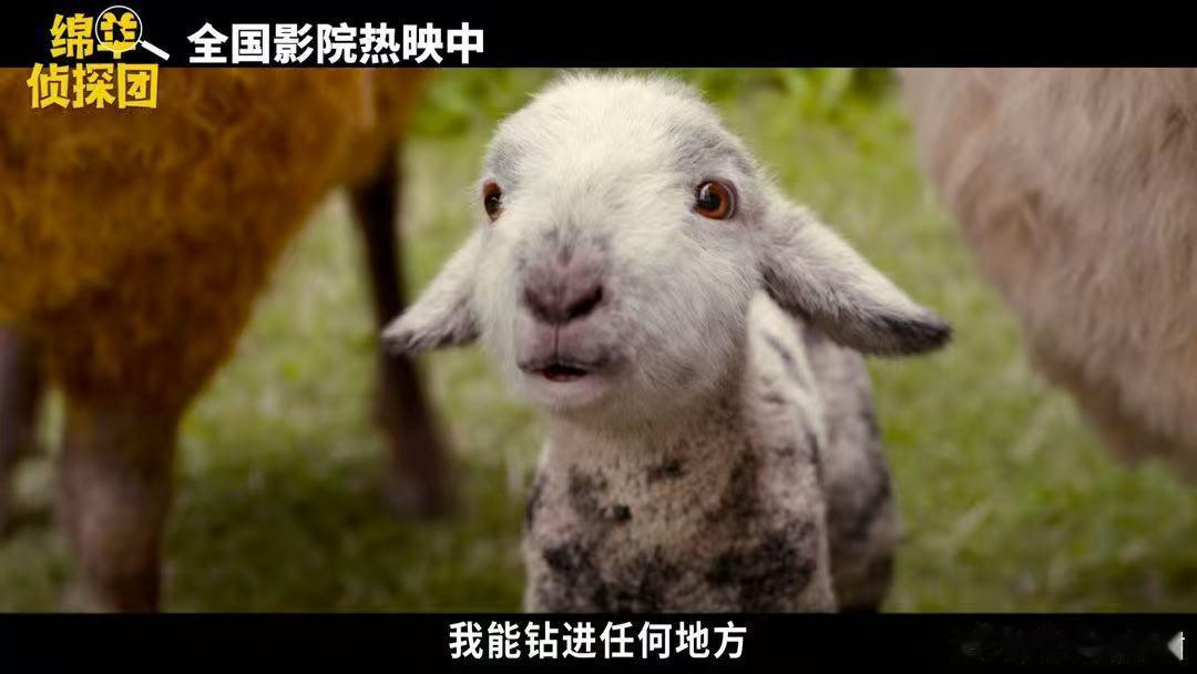 绵羊侦探团上映 身边好多朋友都在安利这部作品，上线之后热度越来越高，不管独处还是