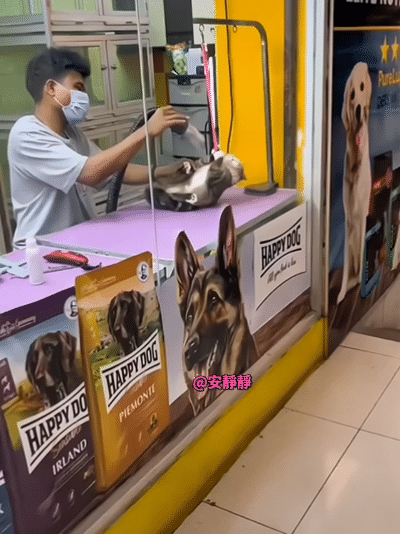 别~别这样，对大家都不好[狗头]