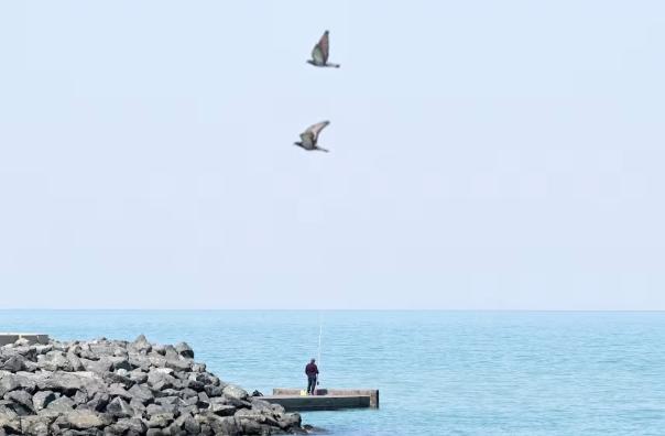 美国打得比俄罗斯还窝囊，俄罗斯再怎么说也顶着北约30多国的压力在乌克兰熬了快5年