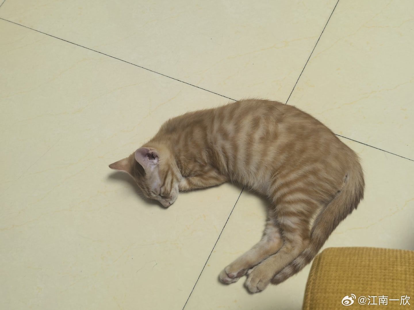 我今天试了一下，确实很快收到了美团退的摩拜单车押金。一看时间是2017年交的押金