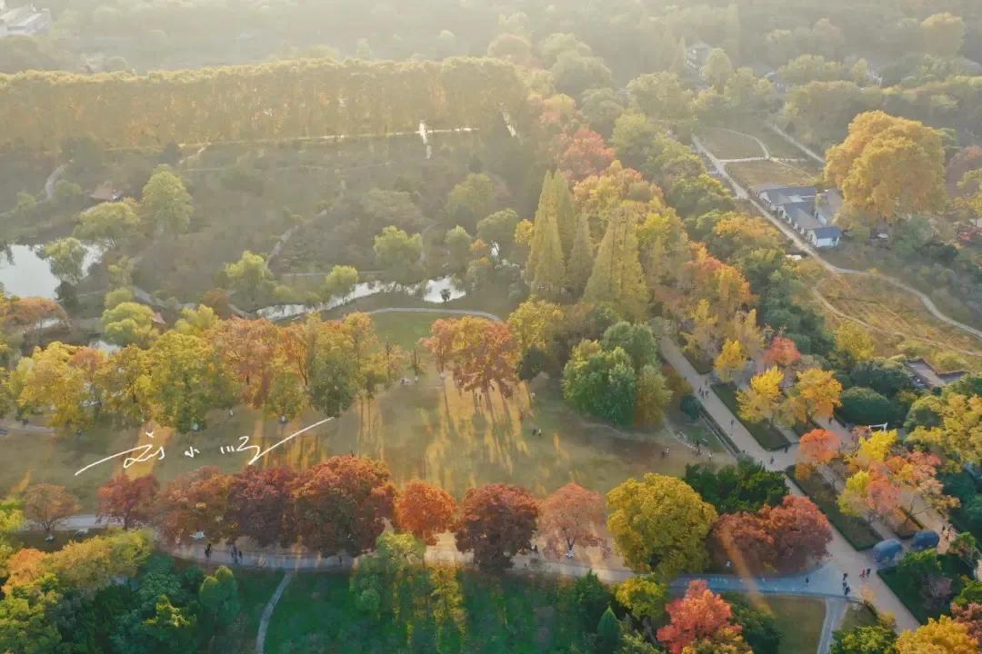 南京秋天最美的道路，明明在陵墓里，却成为游客打卡的网红景点？

这里是刘小顺的旅