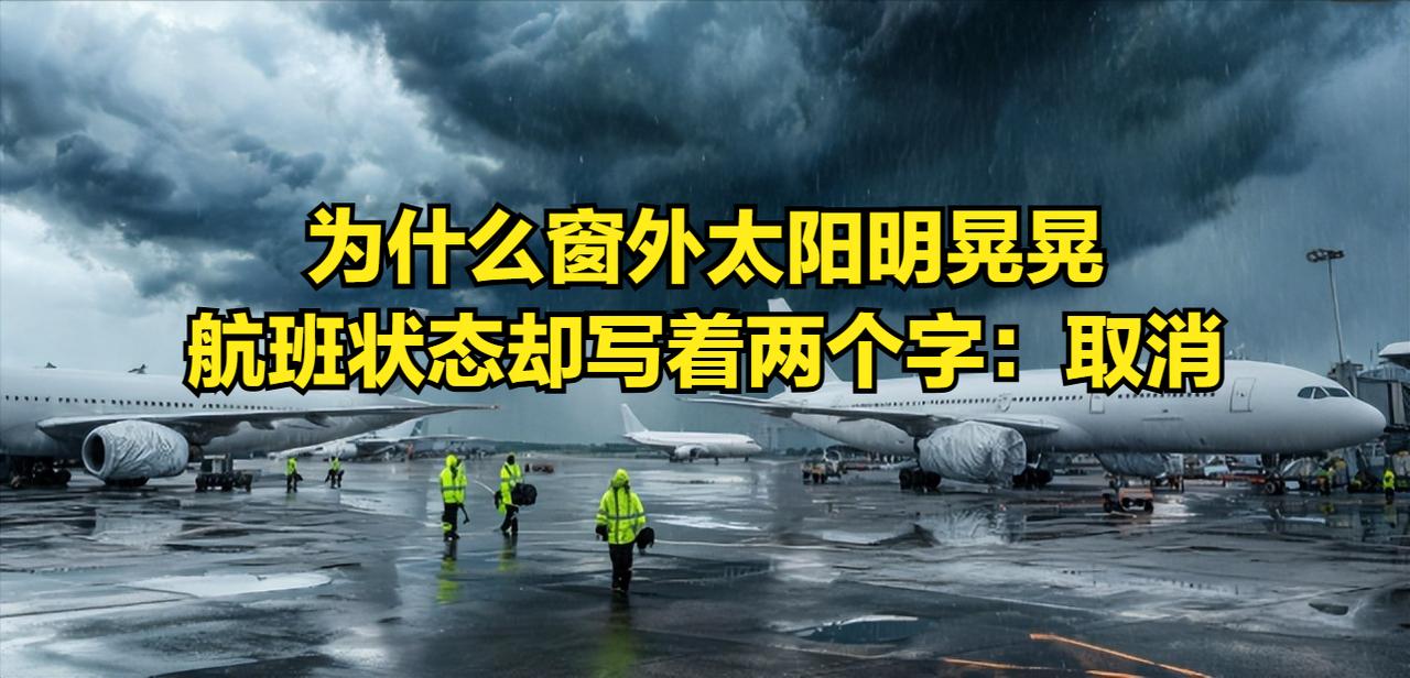 为什么窗外太阳明晃晃，航班状态却写着两个字：取消。很多人把这理解成"航司怕担责"
