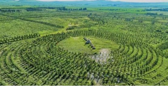 就凭这两张照片，中方就敢告诉白宫：任何战争美国都别想赢！
 
别真以为这是种几棵