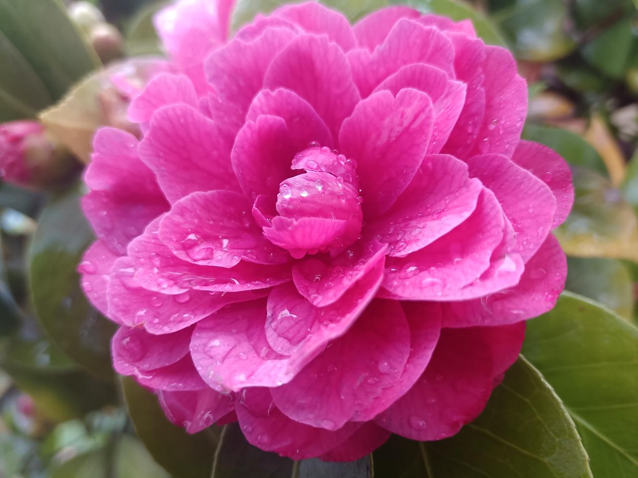 做事,做人,哪个更重要?