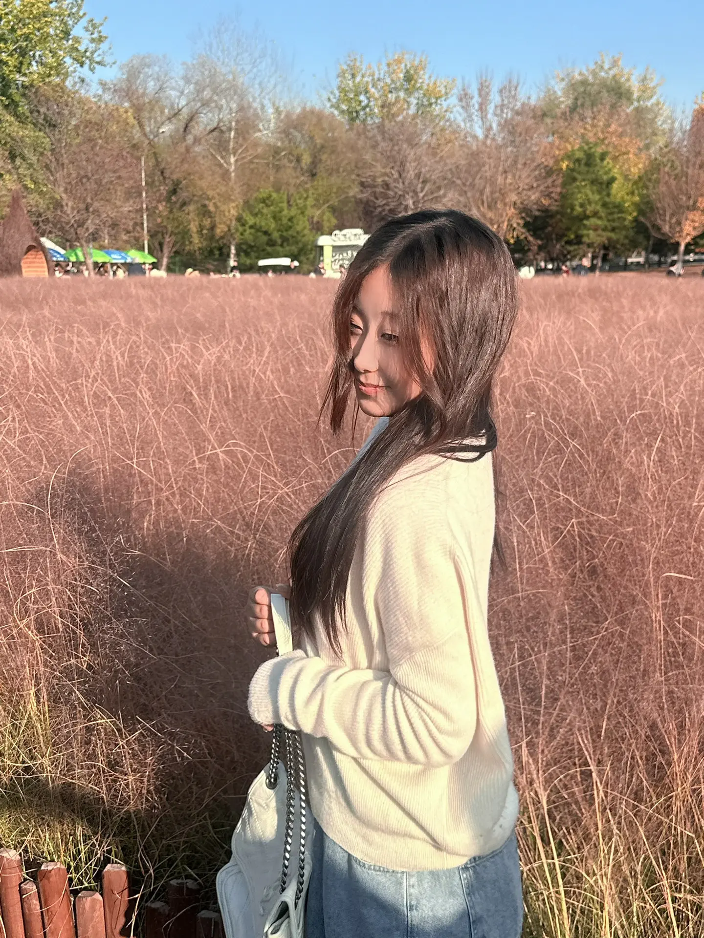 粉红的花海带给我的是芬芳，秋天的风带来了轻盈而又有力量的气息，我随秋歌...