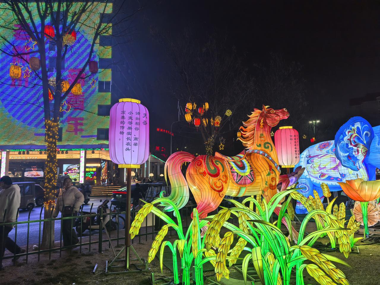 雪吻梅花醉
雨洗柳枝新