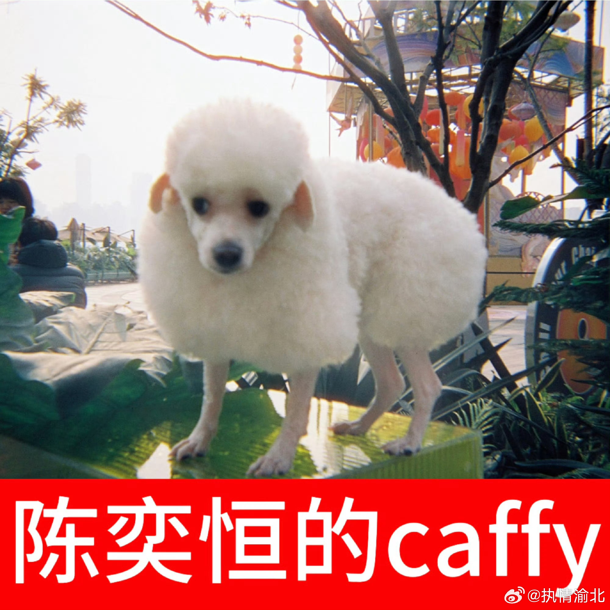 四代神奇宝贝图鉴又加一 