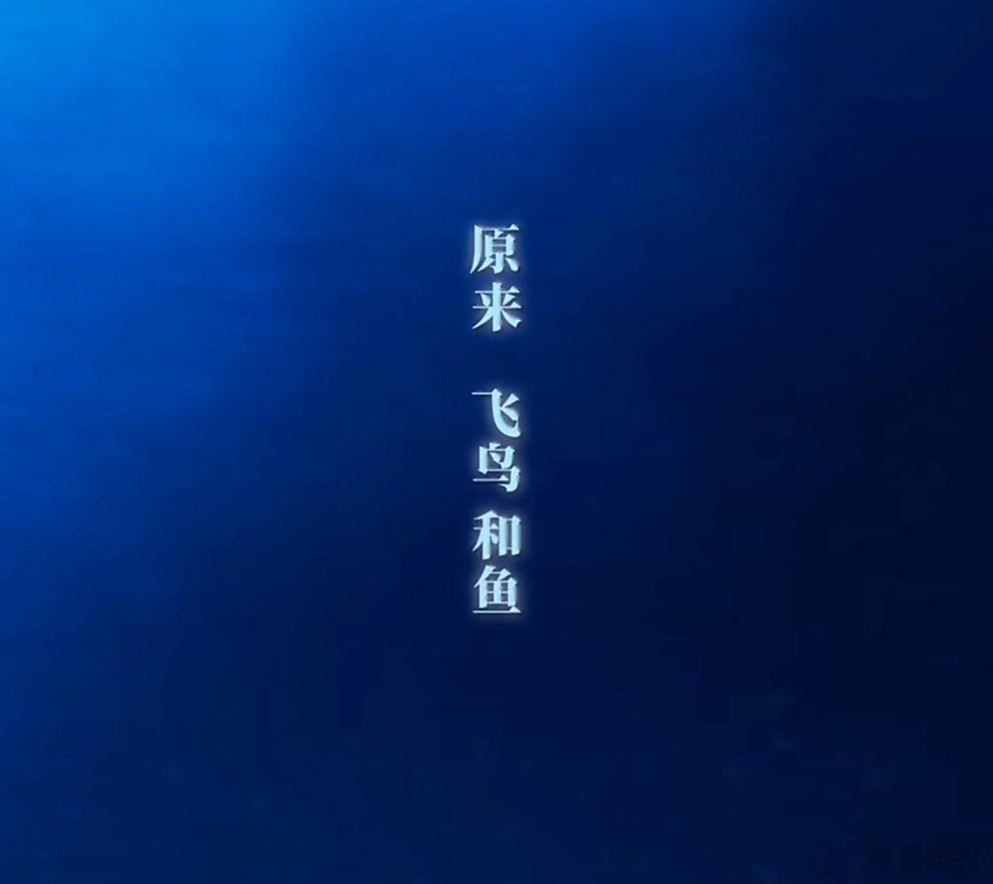 义无反顾，栩和渝 