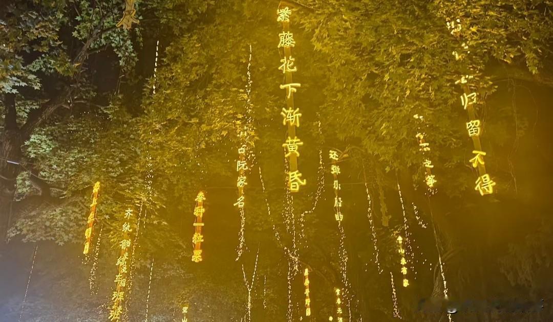 ❤️当你的修为越来越高时，就会开始真正理解周围的每个人。没有好坏，没有对错，只是