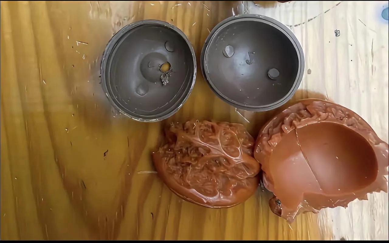 这盘了几年的核桃，突然掉地下摔开了，大家看看现在做假人太厉害了，这核桃也能作假？