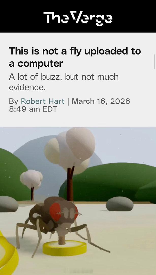 上周X有个大热帖子《具身苍蝇》，微博上也有人转载讨论。TheVerge对此提出了