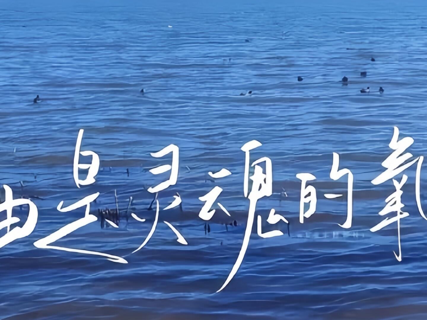 “追风赶月莫停留，平芜尽处是春山。”人生如同一场奔赴，若只顾留恋沿途的浅草，便会