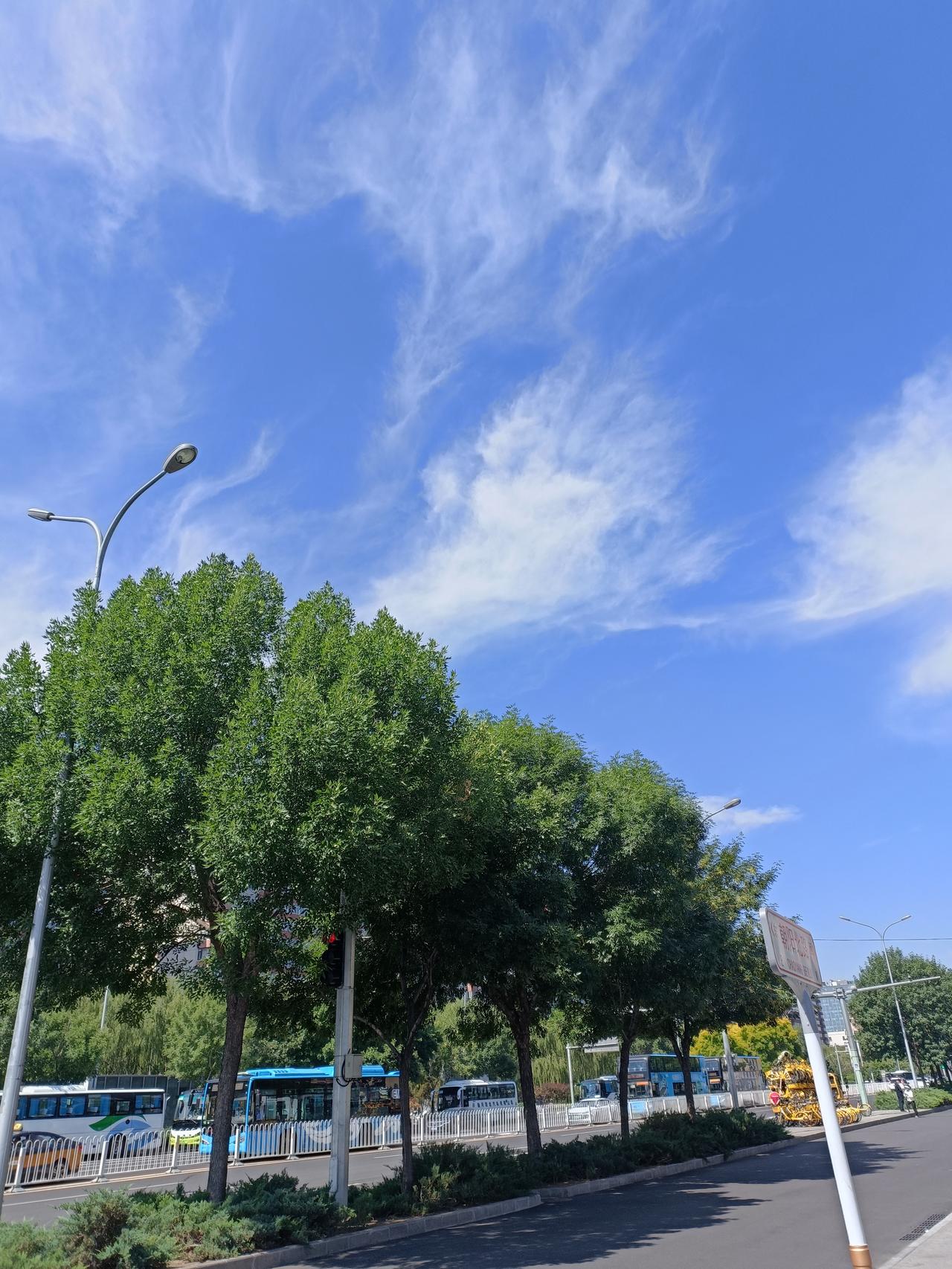世界杯首轮比赛最意外的结果 世界杯首轮比赛意外结果不少。先说韩国对阵捷克这场，在