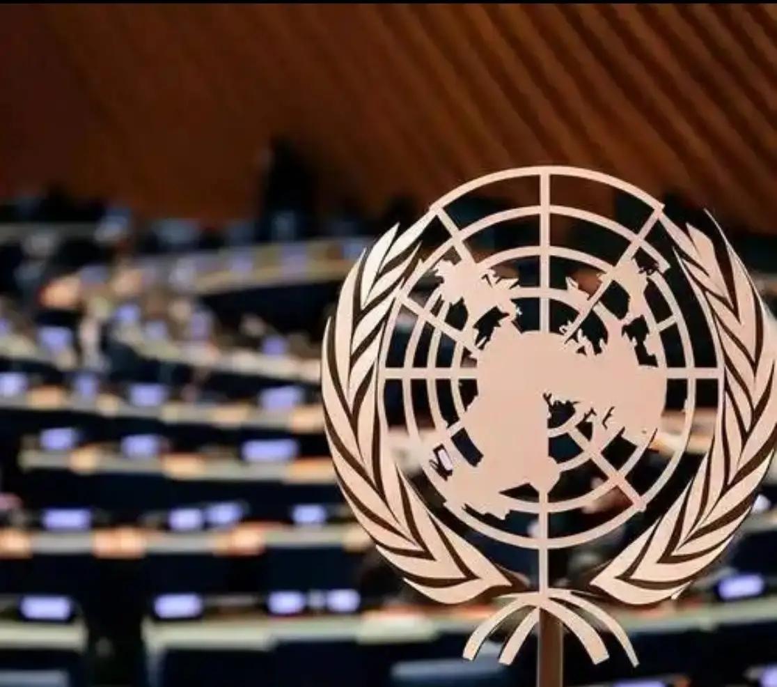 联合国新老大是谁？说白了，五常说了算

古特雷斯年底卸任，几个候选人争得头破血流
