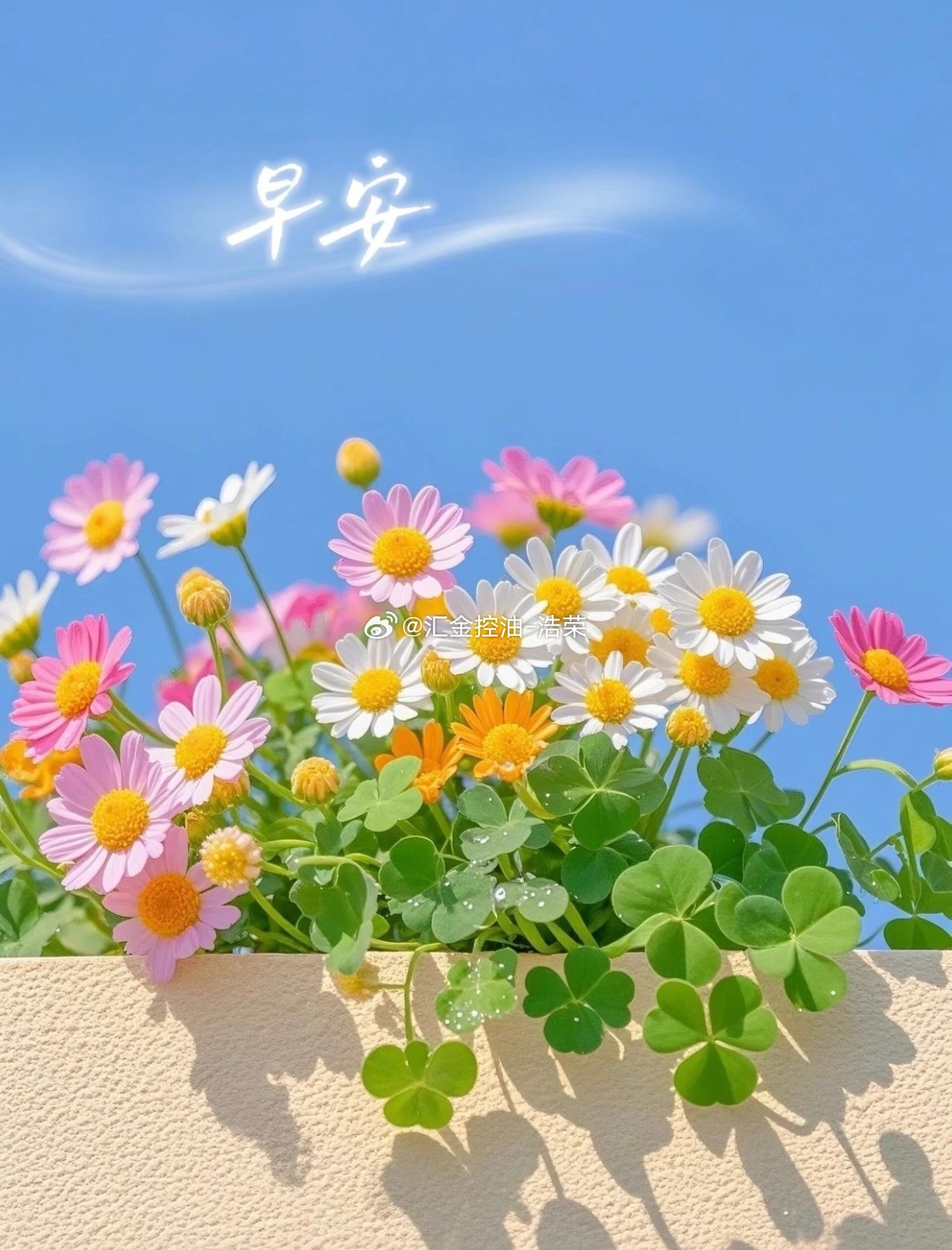 周一 新的一周，保持内心的宁静与真诚，迎接每一个可能，继续努力，加油前行。早安