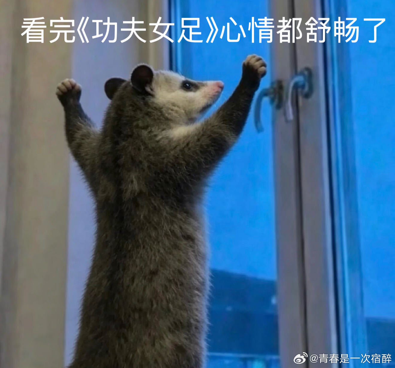 星爷这一个动作承载了25年的回忆老粉看完直接破防！星爷经典踢腿承载25年回忆，新