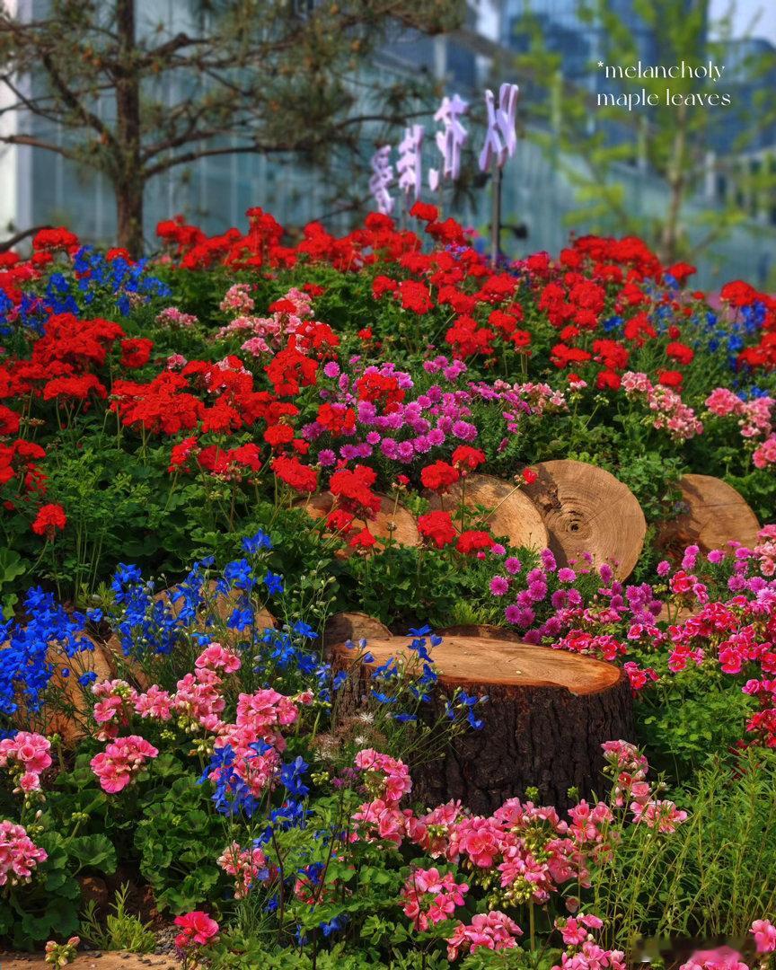 花展最全打卡指南来了北京国际花展提前感受一番花海吧～超级治愈！现在是赏花最好的时