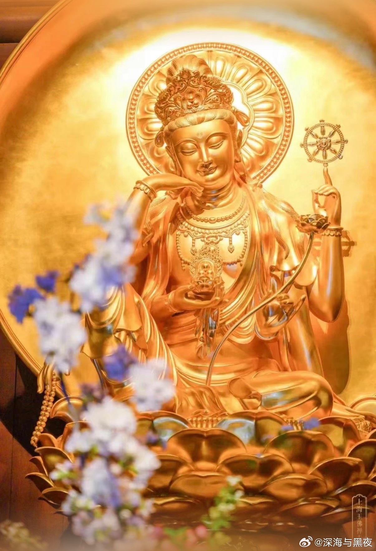 这几天各种自然灾害的新闻里，我今天上午才想起一件事，希望对看到的人有帮助。就是假